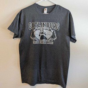 *10/$10* Men's Gray Gatlinburg Tennessee Graphic T-shirt - Size Medium